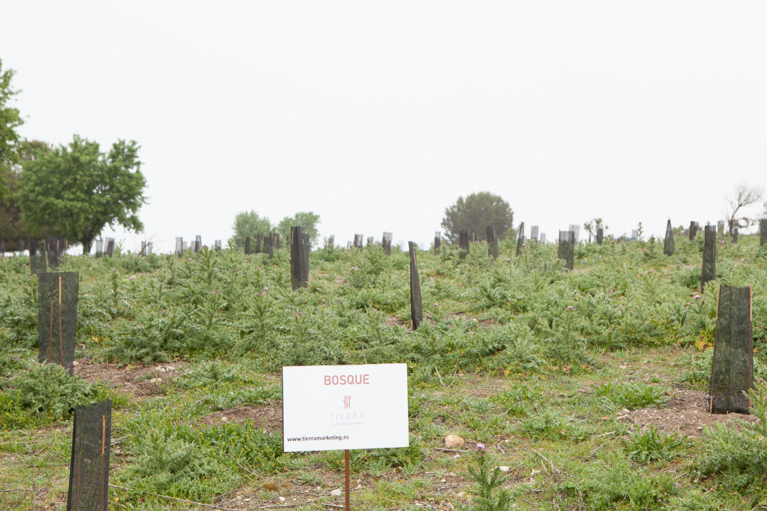 Plantación Abril 2110