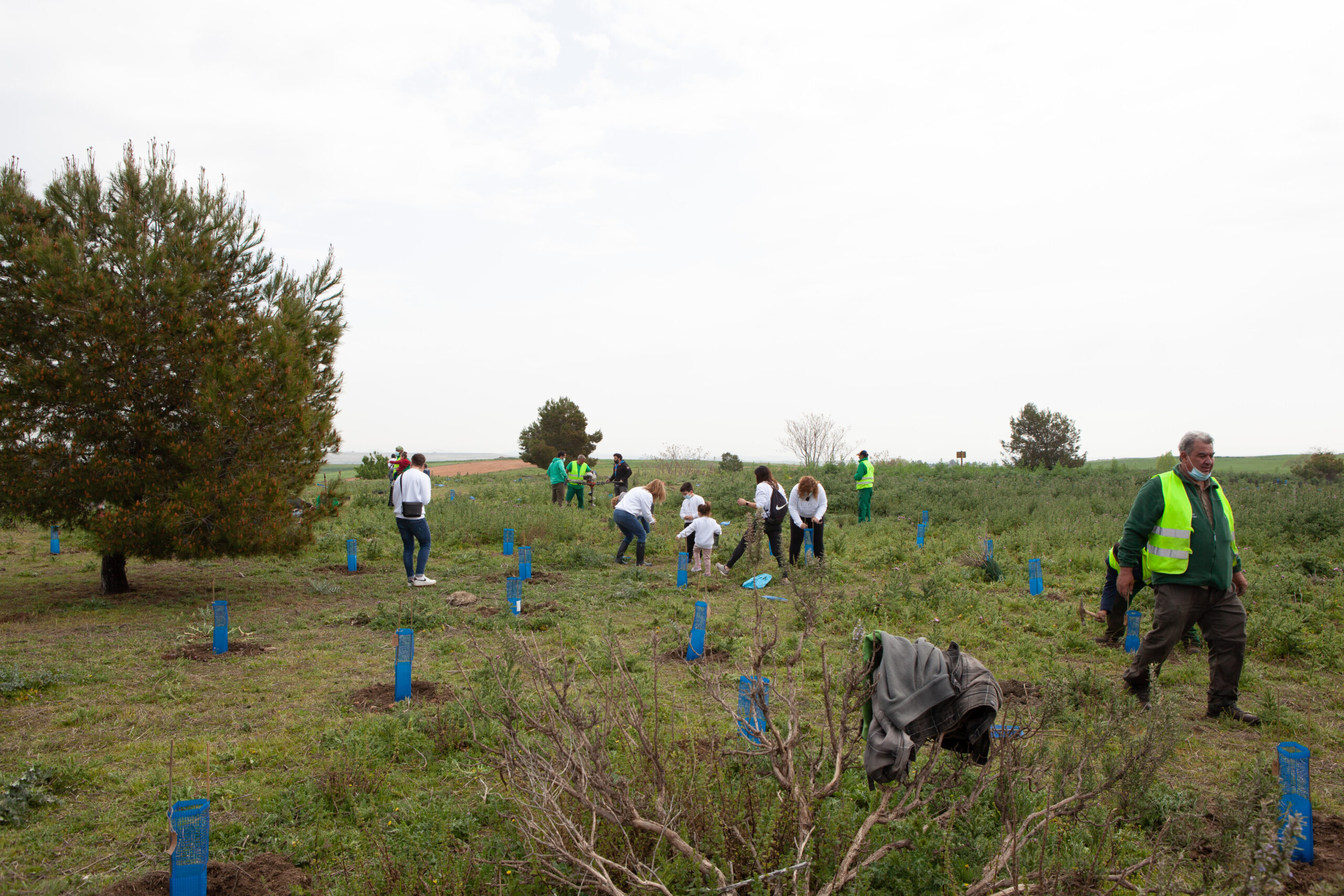 Plantación Abril 2179