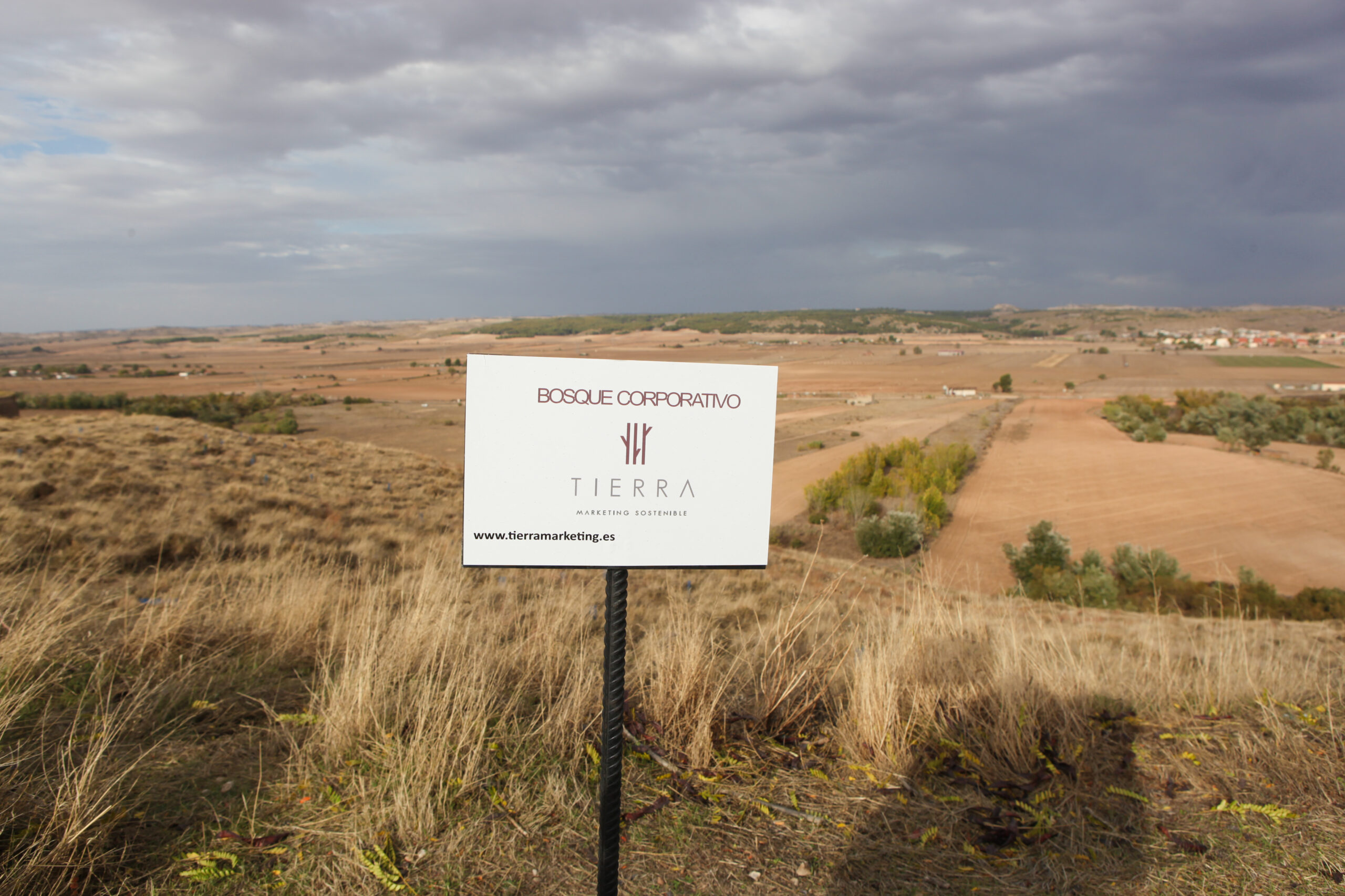 Bosque Tierra Marketing